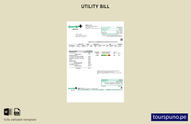 lista para imprimir plantilla de factura de servicios públicos de electricida 19